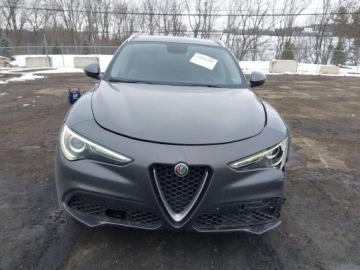 Alfa Romeo Stelvio SUV 2.0 Turbo 280KM 2019 Alfa Romeo Stelvio 2019 ALFA ROMEO STELVIO AWD 2.0 Benzyna 280KM, zdjęcie 1