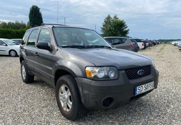 Ford Escape I 2004