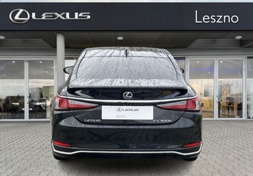 Lexus ES VII (XV70) Sedan Facelifting 300h 218KM 2023 Lexus ES 300h Business Edition 2.5 Hybryda 218KM, zdjęcie 7
