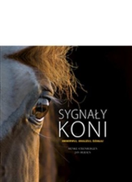 Sygnały koni