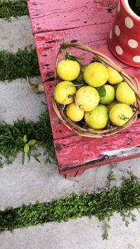 Антибактериальное мыло для вас и ваших близких.