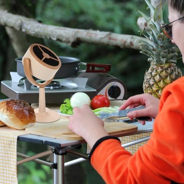 МИНИ-КУХОННАЯ ВЫТЯЖКА С РЕГУЛИРУЕМОЙ ВЫТЯЖКОЙ ВОЗДУХА