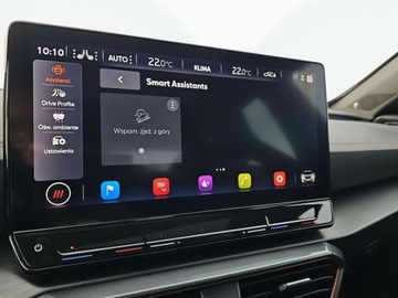 Cupra Formentor Crossover 2.0 TSI 310KM 2022 Cupra Formentor VZ, Dach Panoramiczny, Beats, Mirror Link, Brembo 2.0 310KM, zdjęcie 31