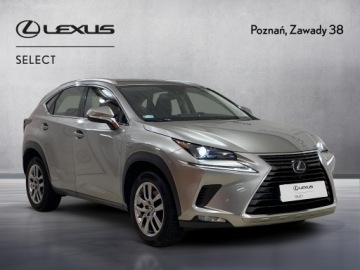 Lexus NX I SUV Facelifting 300h 197KM 2020 Lexus NX 300h Business Edition AWD I (2014-2021) L, zdjęcie 7