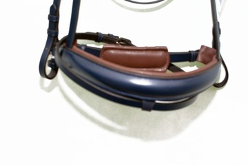 Профилированная анатомическая команда полна