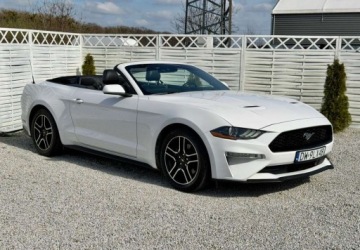 Ford Mustang VI 2021 Ford Mustang Ford Mustang Cabrio 2.3 Eco Boost 2.3 Benzyna 317KM, zdjęcie 3