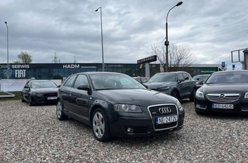 Audi A3 8P Hatchback 3d 2.0 TFSI 200KM 2006 Audi A3 szyberdach,skory, 4x4