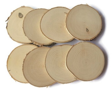 Plastry drewna 8 szt Brzoza krążki szlif 10-12 cm