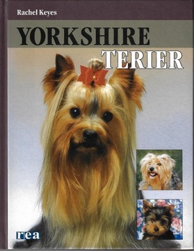 Yorkshire Terier --- Rachel Keyes --- 2007