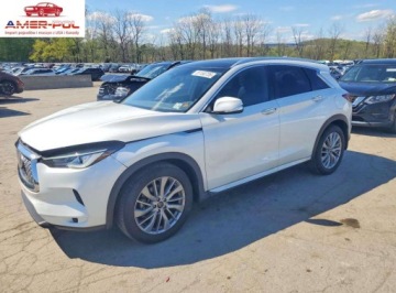 Infiniti QX50 2024 Infiniti QX50 Luxe 2024 2.0 Benzyna 268KM