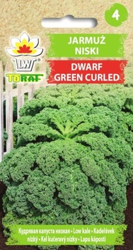 JARMUŻ NISKI Dwarf Green Curled nasiona 1g