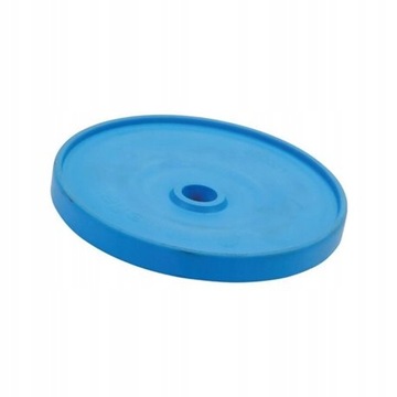 Membrana pompy AR BLUEFLEX 550081 przepona Annovi