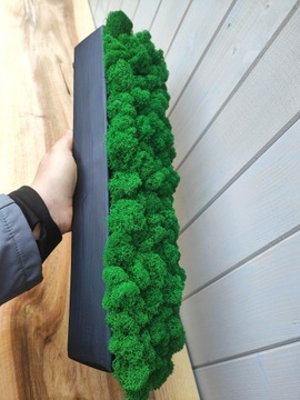 Деревянный цветочный горшок с мхом CHERRY MOSS в длинном горшке 40 см декор