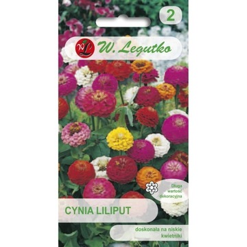 CYNIA WYTWORNA LILIPUT MIESZANKA 1G