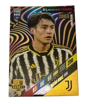 Fifa 365 2024 Adrenalyn GOLD GOL18 Soule