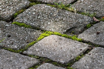 ANTYMECH Kostka brukowa - Koncentrat 5 l