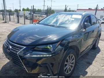 Lexus NX I 2019 Lexus NX 2019 Lexus NX NX 300h AWD 2.5 Benzyna 154KM, zdjęcie 5