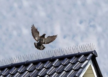 ШИП ДЛЯ ПТИЦ И ГОЛУБЕЙ 60 ШИП 48 СМ ОТПУСКАТЕЛЬ