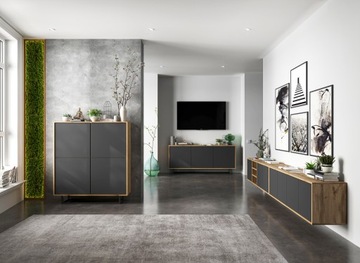 Комод Loft TV, Тумба под телевизор Loft, Wotan графит MAT