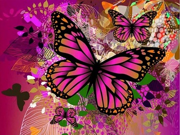 Malowanie Po Numerach Motyl Motylek Obraz Z RAMĄ 40x50