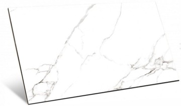 PŁYTKI BIAŁE MAT CZARNA ŻYŁKA CARVING PODŁOGOWE ŚCIENNE ŁAZIENKOWE 60X120