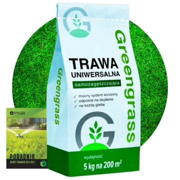 TRAWA NASIONA Uniwersalna Samozagęszczająca Wieloletni Trawnik Odporna 5 kg