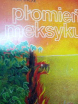 Płomień meksyku Incze