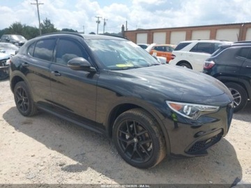 Alfa Romeo Stelvio 2021 Alfa Romeo Stelvio 2021 ALFA ROMEO STELVIO RWD 2.0 Benzyna 280KM, zdjęcie 1