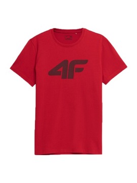 4F КОМПЛЕКТ МУЖСКОЙ ФУТБОЛКИ И ШОРТ