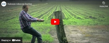 Зимние утепленные резиновые сапоги DUNLOP Blizzard