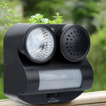 Птичья репеллер животного голубя.