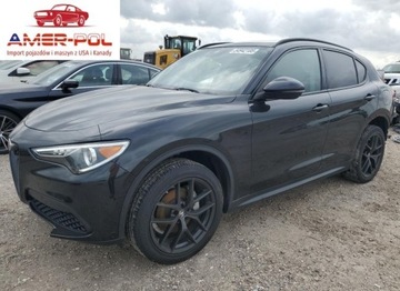 Alfa Romeo Stelvio 2021 Alfa Romeo Stelvio Sport 2021 2.0l 2.0 Benzyna 280KM