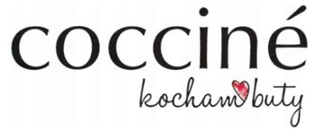 WAX PASTE Черный кожаный крем для обуви 40 мл Coccine Premium