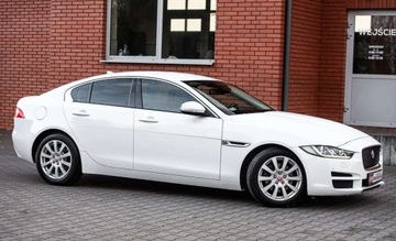 Jaguar XE Sedan 2.0 i4 180KM 2015 Jaguar XE R-SPORT 2.0D 180Ps Ledy Automat 4x4 Xenon Skora Navi 1 wl. Salon, zdjęcie 16