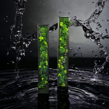 Панно из живого мха, джунгли, 3D стена из мха, нестандартный размер, выбор рамы 130 x 20 см.