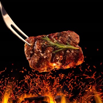 НЕРЖАВЕЮЩАЯ СТАЛЬ АКСЕССУАРЫ ДЛЯ ГРИЛЯ НЕРЖАВЕЮЩАЯ СТАЛЬ 5-В-1 + КОРПУС