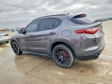 Alfa Romeo Stelvio 2020 Alfa Romeo Stelvio 2020 ALFA ROMEO STELVIO 2.0 Benzyna 280KM, zdjęcie 2