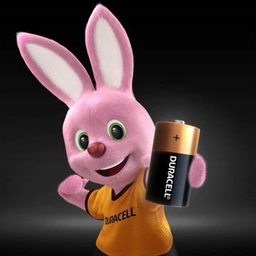 2x DURACELL C LR14 ЩЕЛОЧНЫЕ БАТАРЕИ В блистере