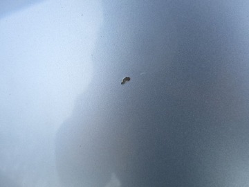 MASKA POKRYWA SILNIKA SEAT TOLEDO IV 4 12-14 LA7W