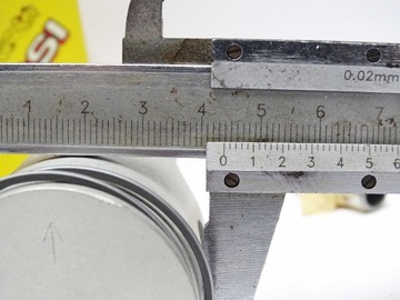 Поршень Малосси, палец 10