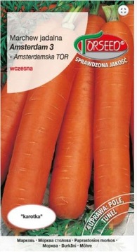 Marchew Amsterdam wczesna nasiona 5 g Torseed