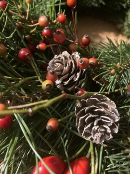 Wianek bożonarodzeniowy stroik świąteczny ŻYWY!!!!