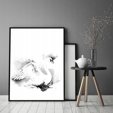 КАРТИНА-ПОСТЕР В РАМКЕ 33х43 см Лебедь P748