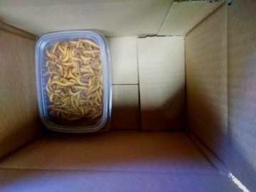 MEALWELL 250мл С СОБСТВЕННОЙ ФЕРМЫ (в подарок)