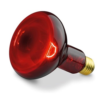 Promiennik podczerwieni 100W, do lampy Beurer IL11
