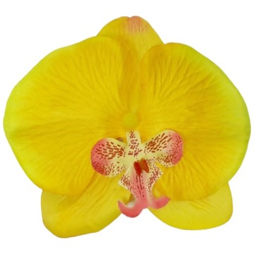 Główka wyrobowa kwiaty sztuczne storczyk 13 cm ORCHIDEA żółty