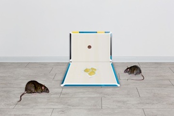 СИЛЬНАЯ ПРИМАНКА ДЛЯ КРЫС И МЫШЕЙ, БЕЗ ЛОВУШЕК ДЛЯ ВРЕДИТЕЛЕЙ, 100 Г