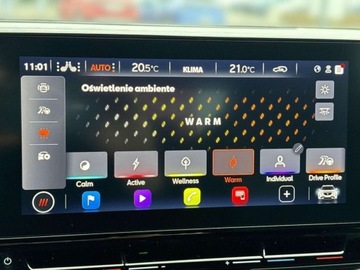 Cupra Formentor Crossover 2.0 TSI 190KM 2024 Cupra Formentor 4x4 DSG Kubelki Pamiec foteli Kamera Gwarancja FV23, zdjęcie 26