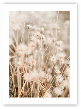 Boho trawy beż plakat 30x40 cm wydruk #20D