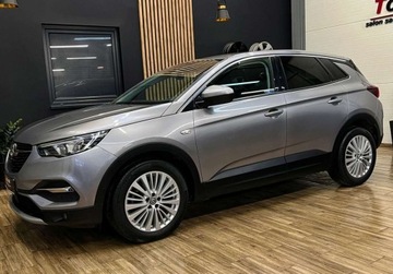 Opel 2018 Opel Grandland X 120 KM manual BEZWYPADKOWY gwarancja ZAREJESTROWANY, zdjęcie 10